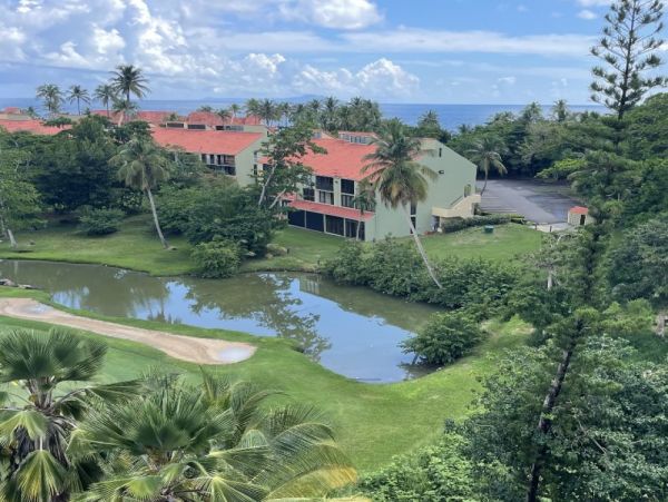 Puerto Rico Vacation Home With 2 Pools Sleeps 12 Guests