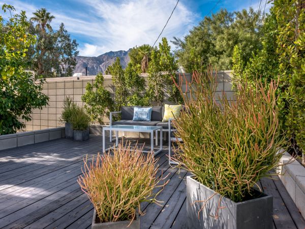 Palm Springs Home 991722