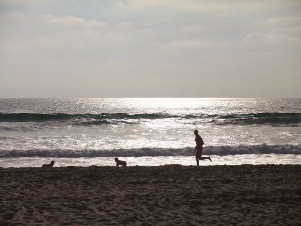 Mission Beach And Pacific Beach Home 991739