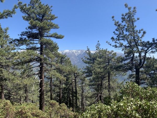 Big Bear Home 991740