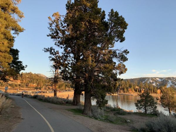 Big Bear Home 991740