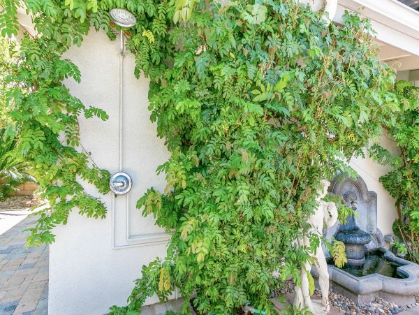 Palm Springs Home 991777