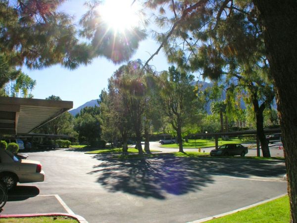 Palm Springs Condo 991801
