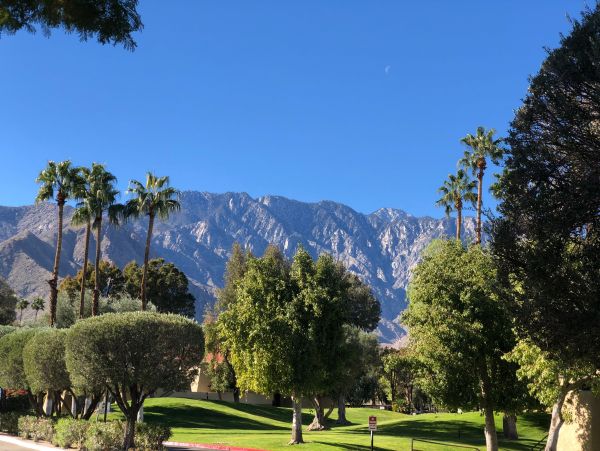 Palm Springs Condo 991843