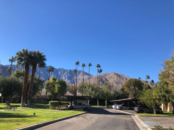 Palm Springs Condo 991843