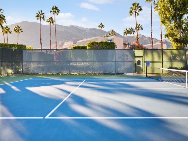 Palm Springs Condo 991867