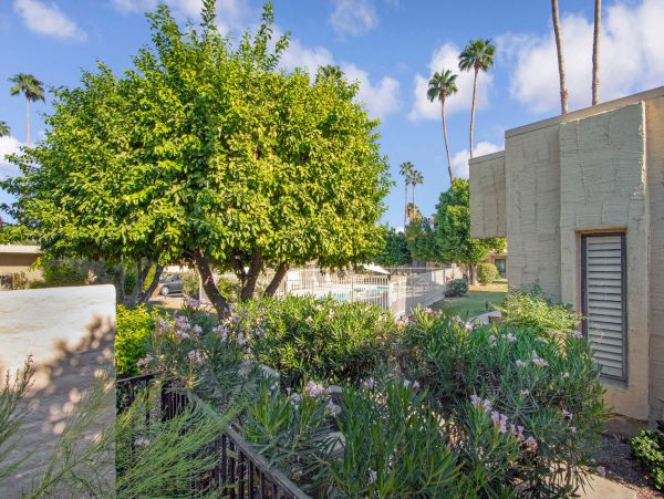 Palm Springs Condo 991877