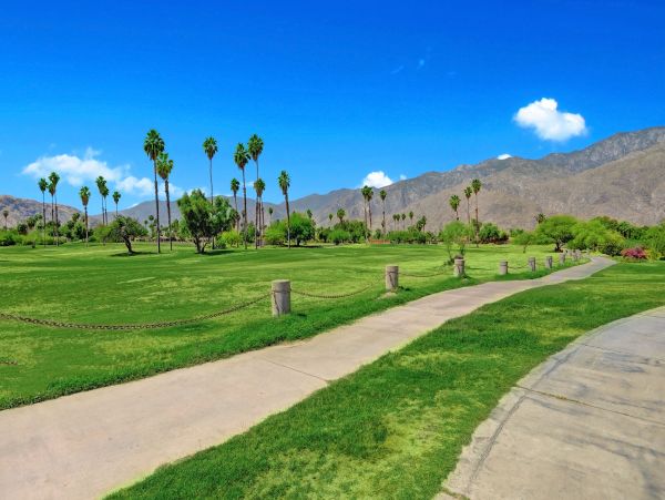 Palm Springs Condo 991894