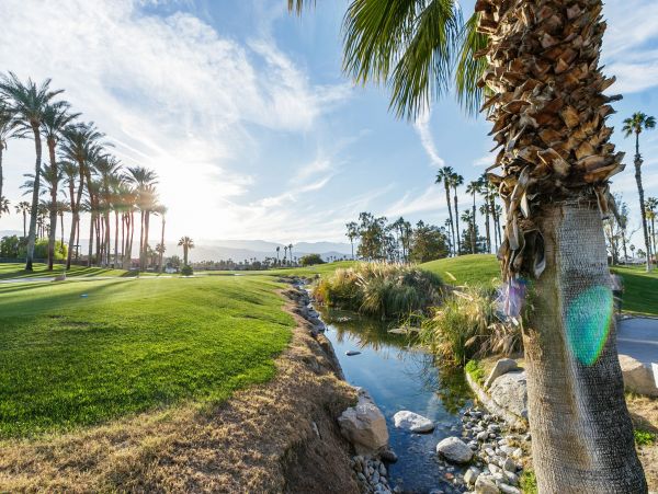 Palm Springs Condo 991916