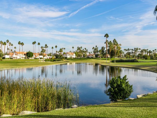 Palm Springs Condo 991916