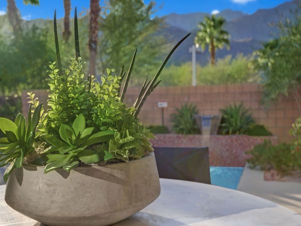 Palm Springs Home 991921