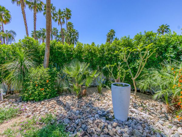 Palm Springs Home 991946