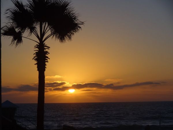 San Diego Beach Communities North Condo 991951