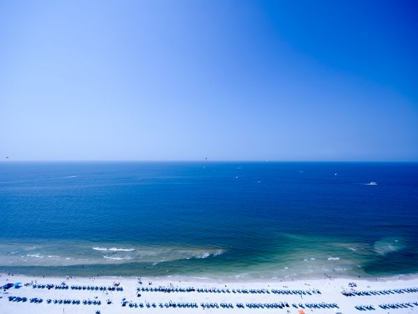 Alabama Beach Areas Home 991988