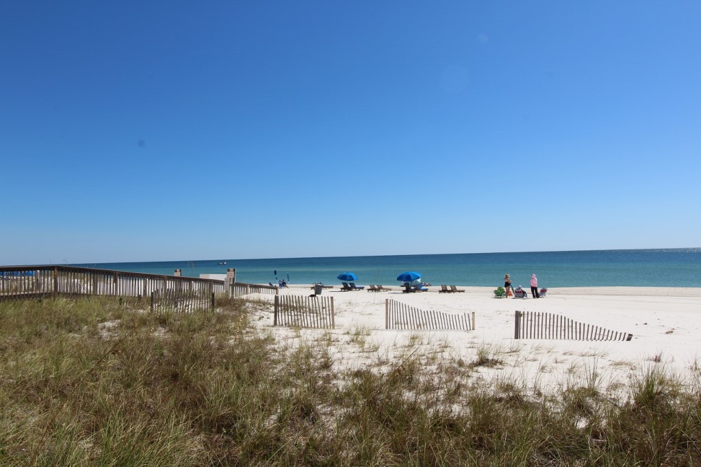 Alabama Beach Areas Home 992006