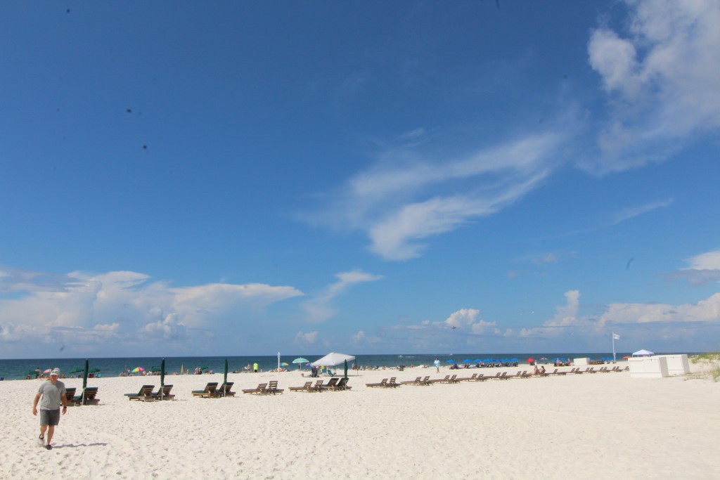 Alabama Beach Areas Home 992036