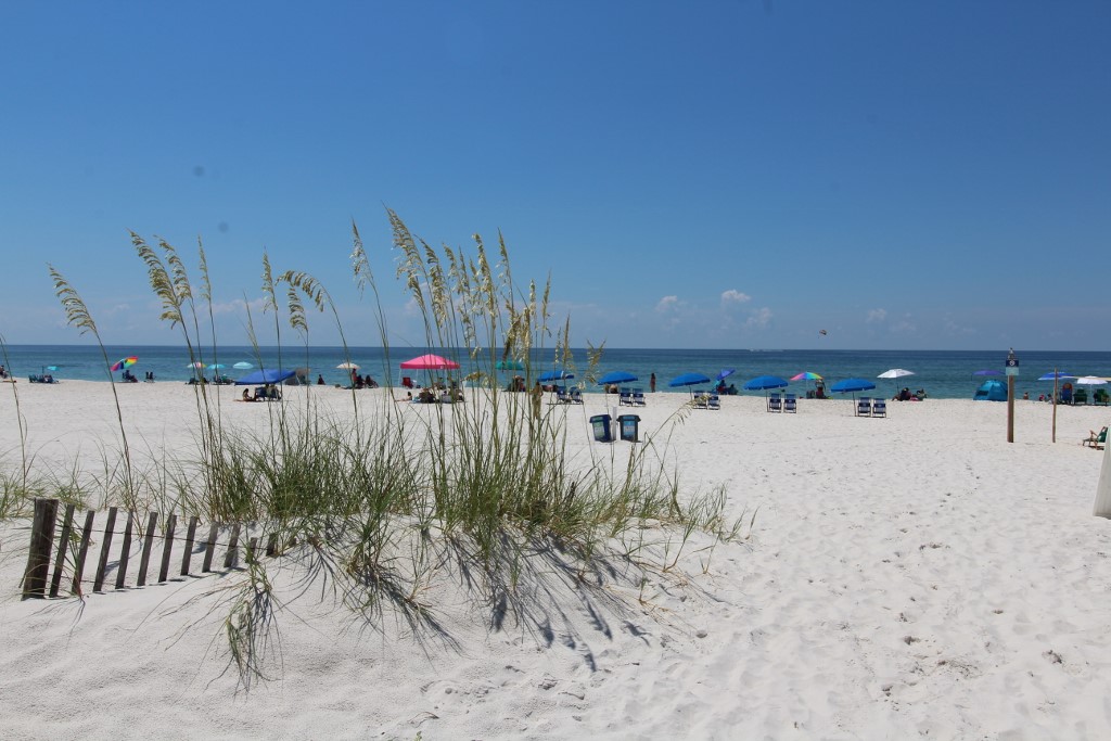 Alabama Beach Areas Home 992085