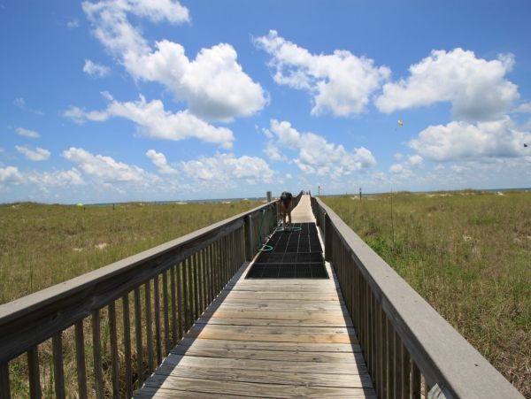Alabama Beach Areas Home 992091