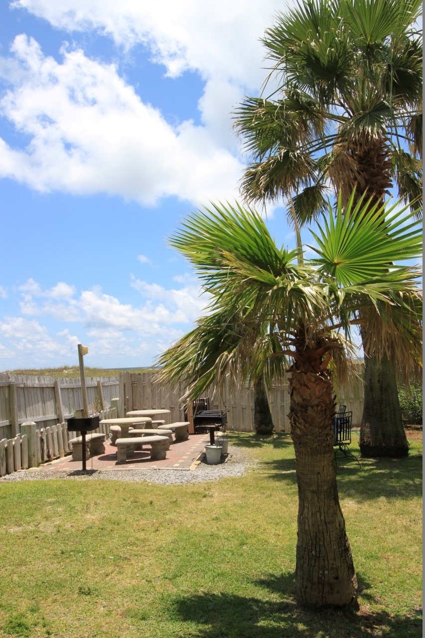 Alabama Beach Areas Home 992091
