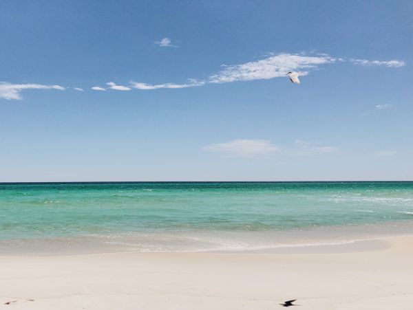 On Beach Miramar Luxury Vacation Home Private Pool Sleeps 32