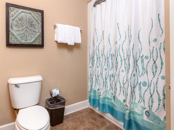 Alabama Beach Areas Home 992244
