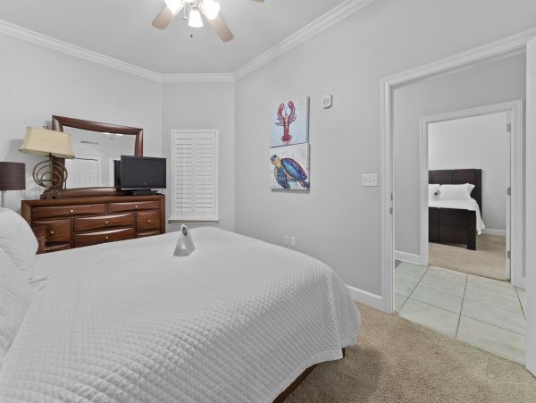 Alabama Beach Areas Home 992249