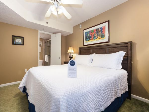 Alabama Beach Areas Home 992267