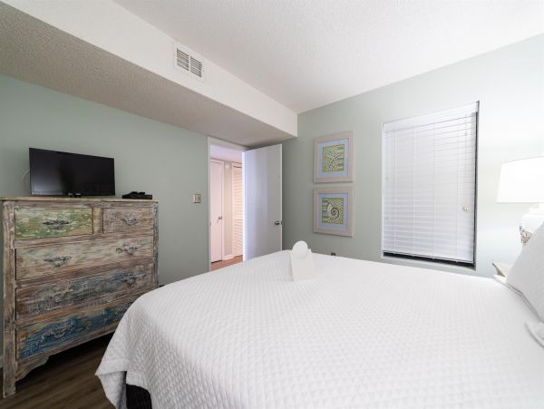 Alabama Beach Areas Home 992287