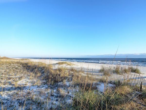 Alabama Beach Areas Home 992293