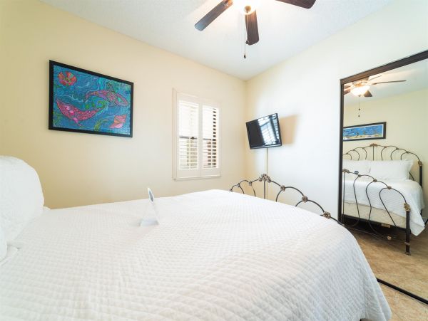 Alabama Beach Areas Home 992314