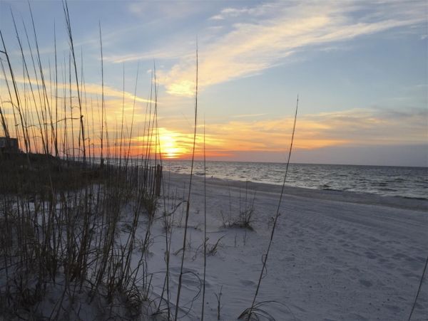 Alabama Beach Areas Home 992339