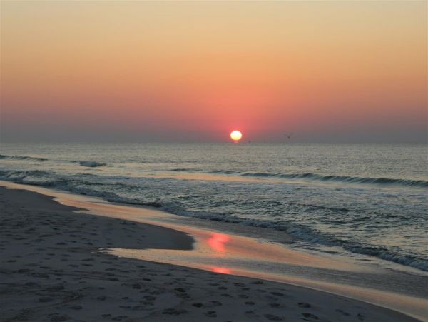 Alabama Beach Areas Home 992362