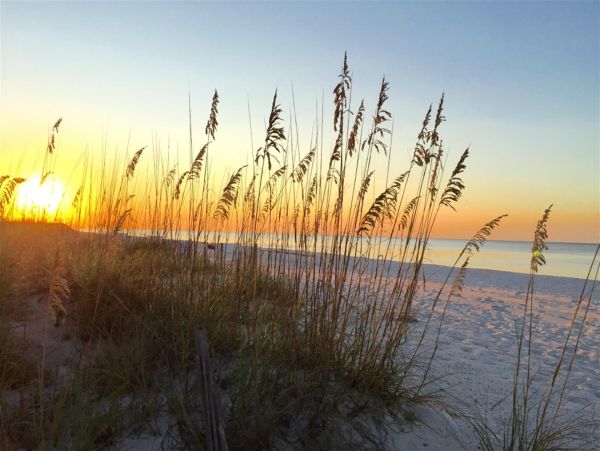 Alabama Beach Areas Home 992369