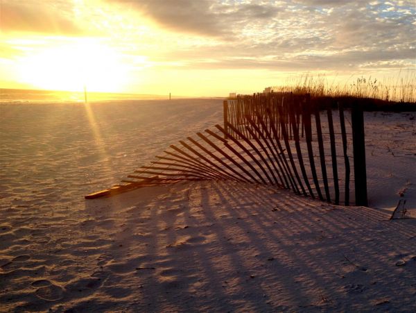 Alabama Beach Areas Home 992380