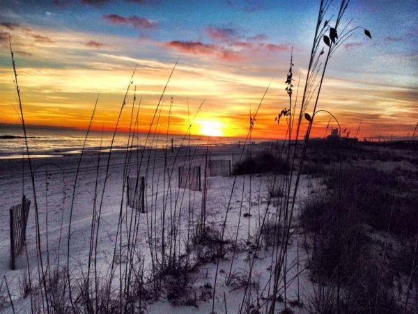 Alabama Beach Areas Home 992393