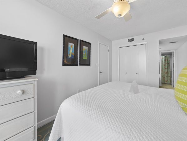 Alabama Beach Areas Home 992397