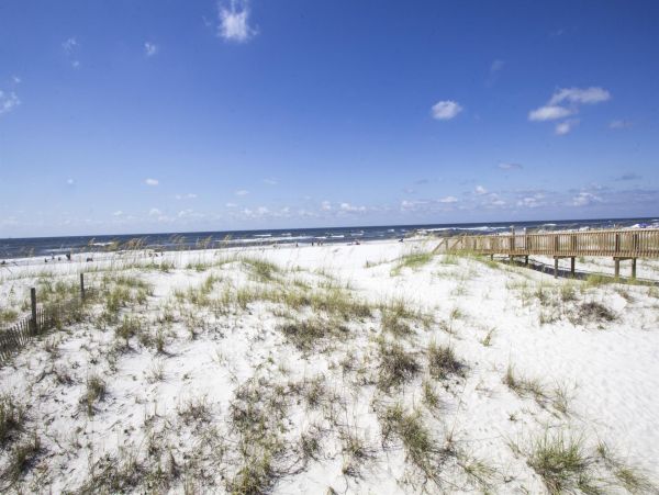 Alabama Beach Areas Home 992402