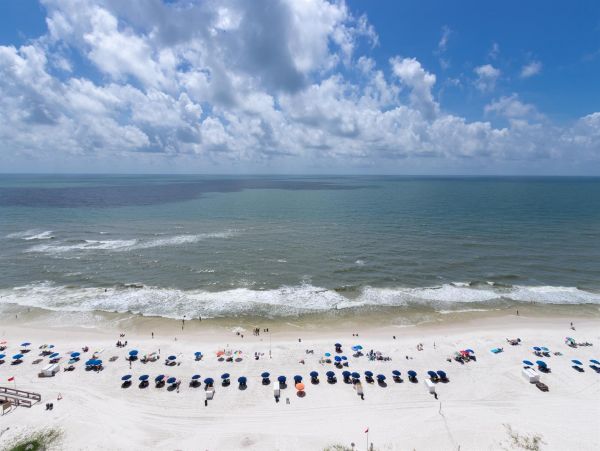 Alabama Beach Areas Home 992438