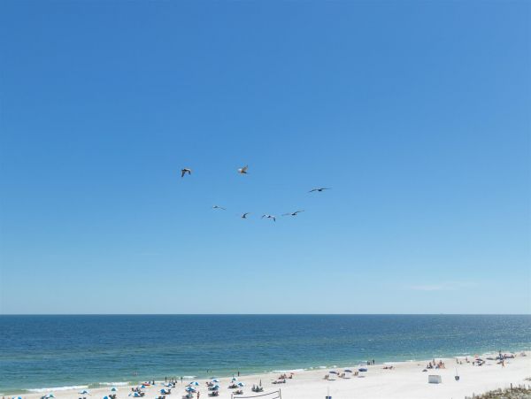 Alabama Beach Areas Home 992444