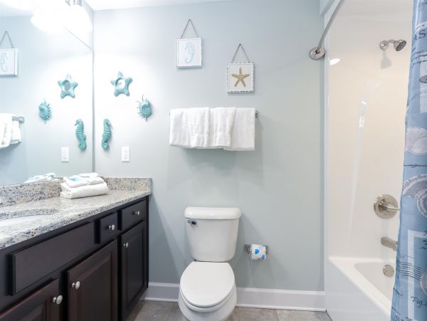 Alabama Beach Areas Home 992461