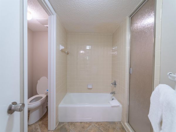 Alabama Beach Areas Home 992466