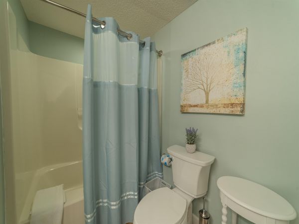 Alabama Beach Areas Home 992480