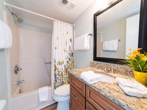 Alabama Beach Areas Home 992482