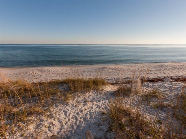 Alabama Beach Areas Home 992487