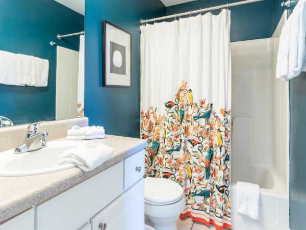 Alabama Beach Areas Home 992491