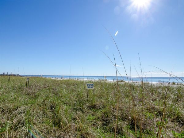 Alabama Beach Areas Home 992498