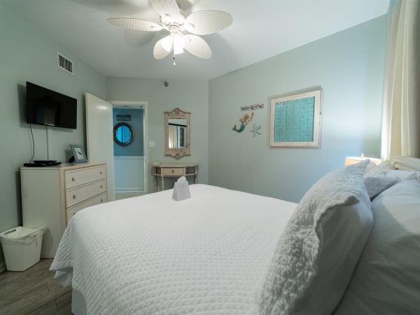Alabama Beach Areas Home 992514