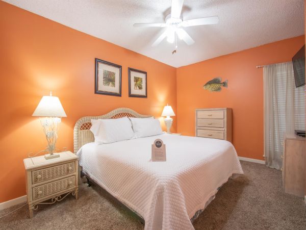 Alabama Beach Areas Home 992535