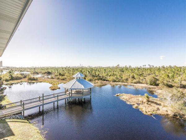 Alabama Beach Areas Home 992565