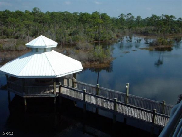 Alabama Beach Areas Home 992565
